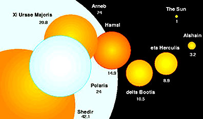 Relative sizes of some stars in the Milky Way that are larger than the Sun.